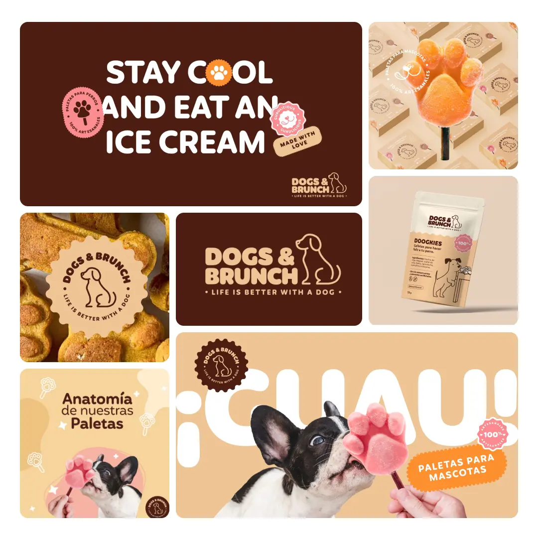 Dogs & Brunch brand bento