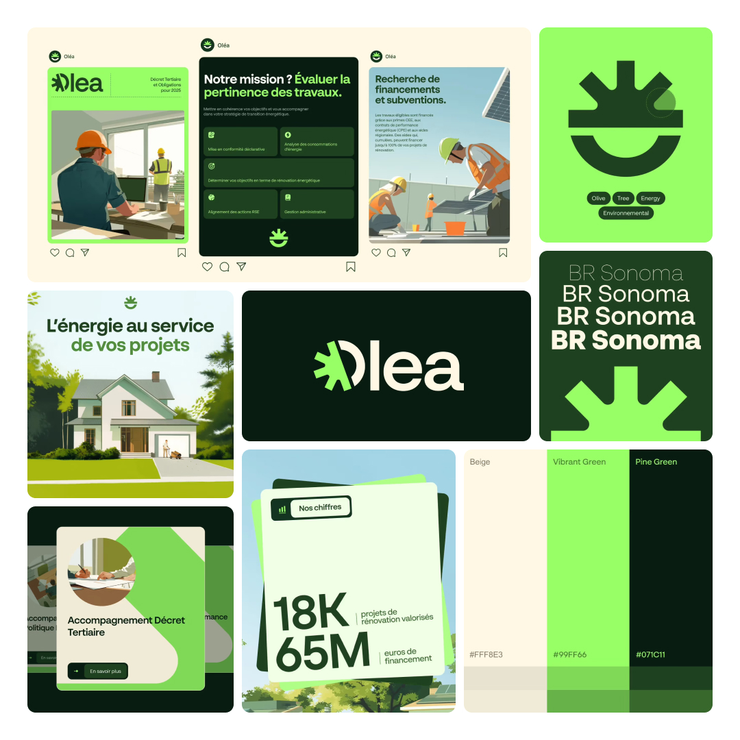 Olea brand bento
