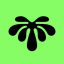 Jungle logo