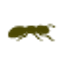 Picnic logo