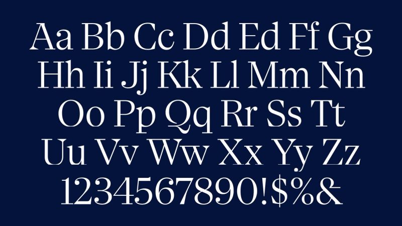Dailypay Typography: Heading Size Hierarchy, 2021 rebrand by Wolff Olins