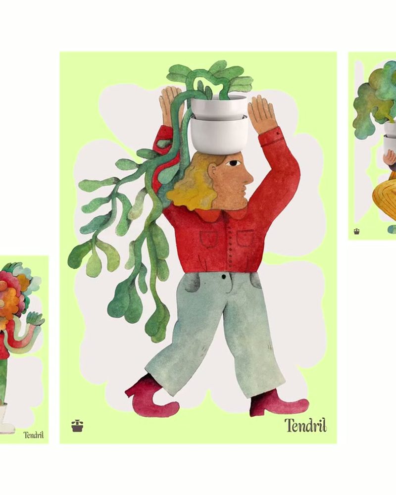 Tendril Illustration: Watercolour character posters, 2026 brand identity by Red Antler