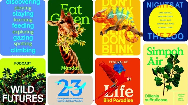 Mandai Motion: Poster system, 2021 rebrand by Anak