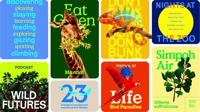 Mandai 2021 brand identity by Anak