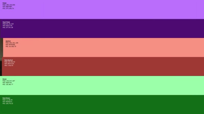 Visa Color Palette: Colour palette bands, 2026 rebrand by Base Design